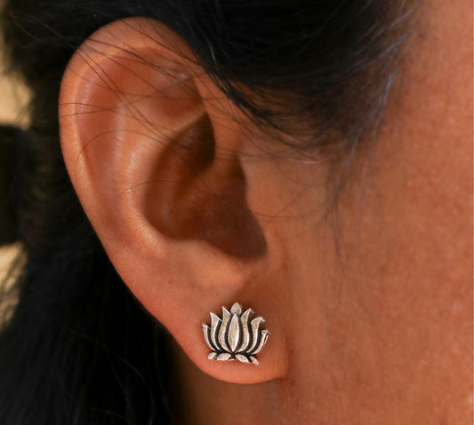 Lotus Studds