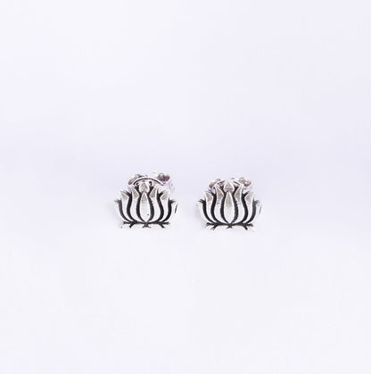 Lotus Studds