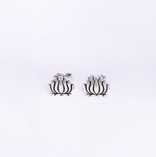Lotus Studds