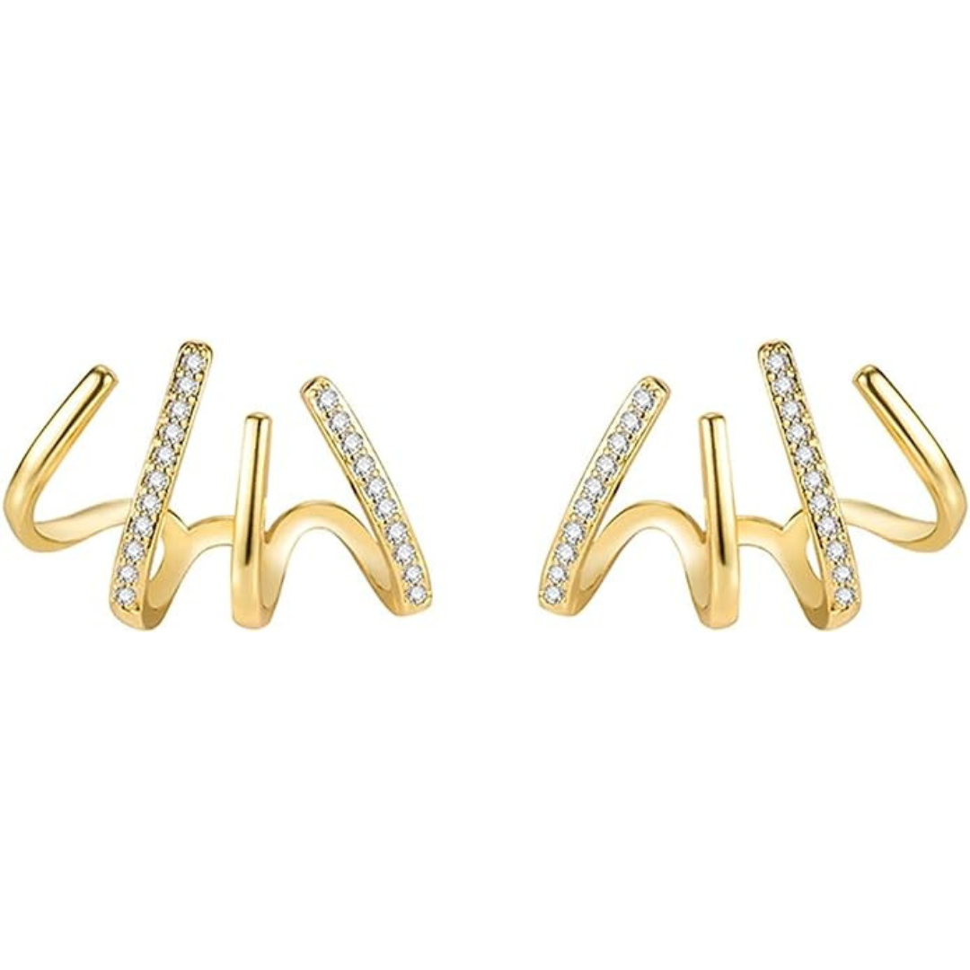 Spiral Hoop Earrings